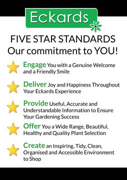 Five Star Standards - Our commitment to you
