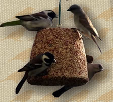 Bird seed bells make easy gifts for bird lovers