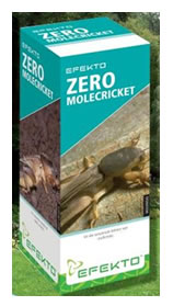Get rid of Mole crickets now