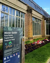 Goose Bumps Alert! The Winter Garden in Auckland Goose Bumps Alert! The Winter Garden in Auckland