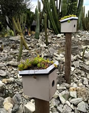 Green roofed bird boxes Green roofed bird boxes