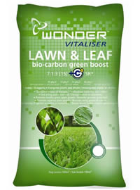 Boost lawn colour now