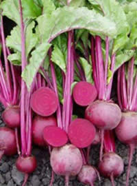 Use beetroot leaves as one would spinach