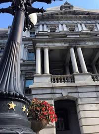 Begonias add their red to the landscape