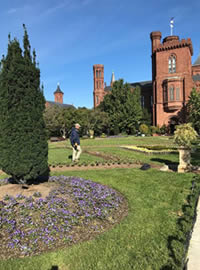 The next batch of colour going in