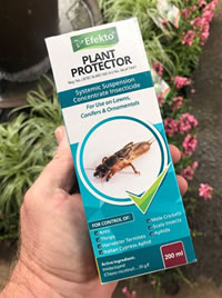 Plant Protector halts the beetles