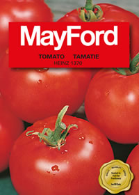 Legato is a vigorous tomato from Mayford