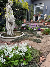 My Garden at Home as the Season Changes