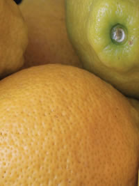 Every Garden Should have a Lemon Tree