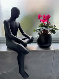 Cyclamini’s as a windowsill companion