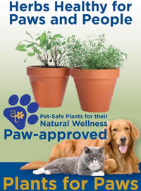 Paw Approved herbs for pet health