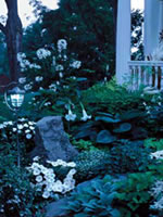 Smaller spaces intensify the fragrance.