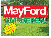 Grass as a runner lawn in semi-shade