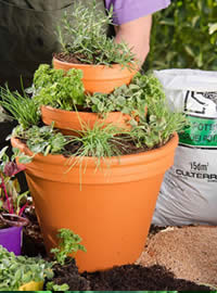 A easy DIY project for a morning in the garden