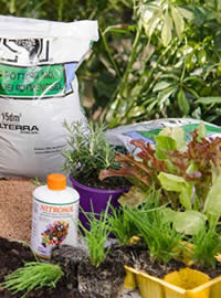 Feed with Nitrosol as an organic plant food