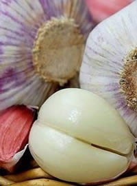 Grow sun yum! Plant a patch of Garlic