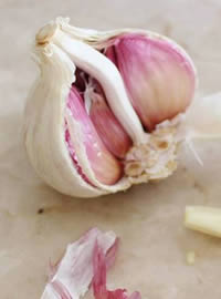 Plant your garlic sets in as much sun as possible Plant your garlic sets in as much sun as possible