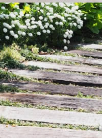 DIY your own water permeable living pathway