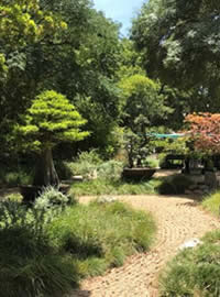 A Horticulturalist on holiday