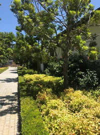 Striking landscaping at Lourensford 