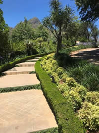 Pathway planting at Delaire Graff 
