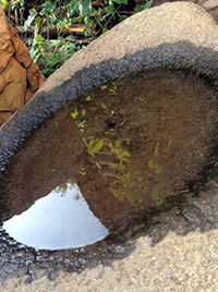 Keep your bird bath clean and filled through winter
