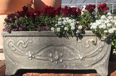 Mix and Match to add interest with bedding plants Mix and Match to add interest with bedding plants