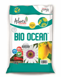 BioOcean makes for strong bones