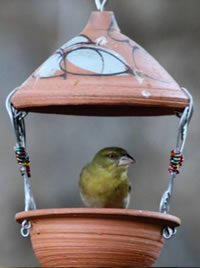 Smaller feeders keep the pigeons at bay