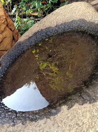 Keep your bird bath clean and filled through winter