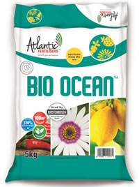 Feed to boost performance with BioOcean