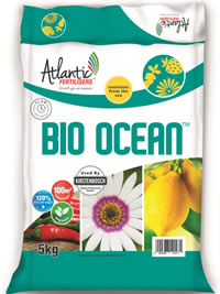 BioOcean fertiliser improves flower colour