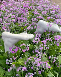 Dive right in! Spring will be a blaze