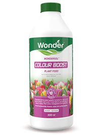 Top up feeding once established with Wondersol