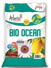 BioOcean encourages flowering for Roses