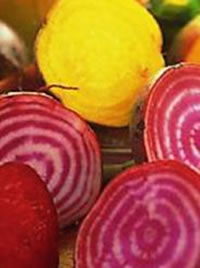 We love different colours of beetroot